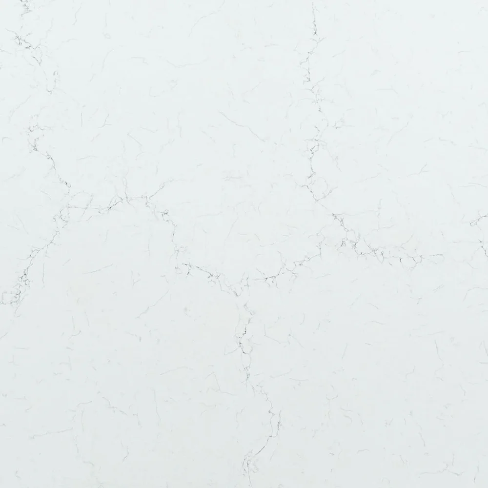 Misterio quartz swatch